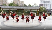 温州燕子广场舞《梦高原》演示和分解动作教学 编舞温州燕子
