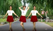 金社广场舞《天蓬大元帅》32步网红神曲女生版 演示和分解动作教学