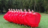深圳山茶广场舞《美丽中国》舞台版 演示和分解动作教学 编舞山茶
