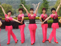 动动广场舞 舞动中国 含背面演示 学跳2014年全国推广排舞