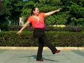 卢姨原创广场舞 花样年华广场舞 正背面慢速动作教学
