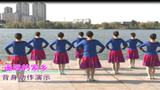 安徽芜湖飞翔广场舞 遥远的家乡 背面动作演示