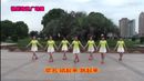 杭州玫瑰广场舞 跳起来唱起来 集体