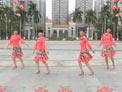 广场舞美丽的雪山姑娘 团队版 附分解动作 可爱玫瑰花广场舞