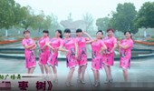 动动广场舞《红枣树》网红旗袍秀恰恰风32步零基础 演示和分解动作教学