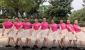 美久广场舞《春天的芭蕾》队型变换舞台表演版 演示和分解动作教学
