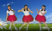 默默广场舞《野花香》民族舞蹈网红流行舞 演示和分解动作教学 编舞默默
