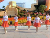 可爱玫瑰花广场舞 单跳和对跳16步温柔与霸道 含分解动作 编舞：刘瑛