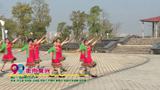 广西梧州市百合花广场舞   走向复兴 团队表演版