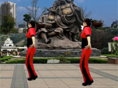龙游红飞舞广场舞原创初级入门健身操 遍地是情歌