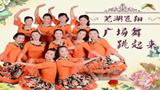 安徽芜湖飞翔广场舞 广场舞跳起来 背面动作演示