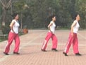 舞动中原馨蕾广场舞队 排舞 舞蹈地带 附背面演示