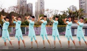 吉美广场舞《美丽的香格里拉》桑巴舞 演示和分解动作教学 编舞彭晓晖