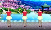 惠州石湾玲玲广场舞《护花使者》时尚流行舞蹈 演示和分解动作教学