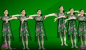 雪儿广场舞《军中绿花》32步简单易学送给最可爱的子弟 演示和分解动作教学