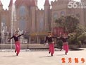 长沙中信舞蹈队广场舞 纳木措 背面演示及分解动作