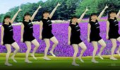 雪儿广场舞《花心的男人》简单的步伐动感的乐曲 演示和分解动作教学
