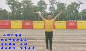 小帅广场舞《欢乐中国欢乐家》演示和分解动作教学 编舞小帅