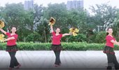 贵州开心广场舞《2019好运天天有》原创手球花舞 演示和分解动作教学