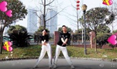 风琴广场舞《灵灵》改编网红流行舞 演示和分解动作教学 编舞风