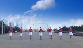 【广场歌伴舞】海棠依旧舞蹈队 藏爱 团队表演版