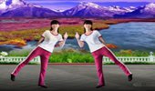 林子广场舞《妹妹的山丹花》入门鬼步舞20步 演示和分解动作教学 编舞林子