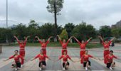 连平自由飞舞广场舞《新走天涯》对跳水兵舞 演示和分解动作教学 编舞雨的假期
