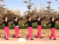 舞动中原馨蕾广场舞 最炫中国梦 附口令分解动作和背面演示