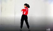 吉美广场舞精选30分钟带练舞 演示和分解动作教学 编舞吉美