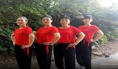 江南雨广场舞《人生何处不相逢》DJ网红版双人对跳 演示和分解动作教学