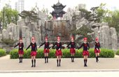 【广场歌伴舞】 海棠依旧舞蹈队 红色娘子军进行曲 团队表演版