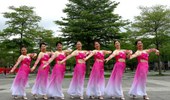 深圳山茶广场舞《牡丹之歌》演示和分解动作教学 编舞山茶