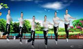美丽年华广场舞《天蓬大元帅》网红女生版流行舞 演示和分解动作教学