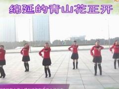 江南雨广场舞 中国广场舞 团队版