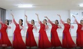 刘荣广场舞《祖国在我心中》演示和分解动作教学 编舞刘荣