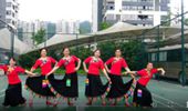 重庆叶子广场舞《商洛蓝》演示和分解动作教学 编舞叶子