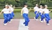 中油四季广场舞《玩腻》简单步子舞 演示和分解动作教学 编舞流水潺潺