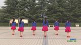 陕西华州小丫舞团瓜坡麦郭丽丽广场舞 银杏树下 表演