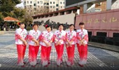 上海香何花广场舞《爱在天地间》形体舞 演示和分解动作教学 编舞香何花