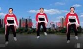 安徽金社广场舞《扯DJ》首创新舞 演示和分解动作教学 编舞金社