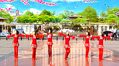 安庆小红人广场舞 珊瑚颂 广场舞视频