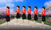 川源广场舞《伤不起2017》32步 演示和分解动作教学 编舞川源