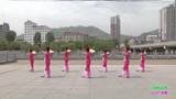 陕西田益珍丹凤舞蹈培训中心广场舞 三月桃花雨 团队表演版