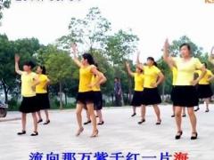 穿心村广场舞 最炫民族风 广场舞视频
