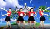 梅花开广场舞《雨中泪》原创网红DJ32步 演示和分解动作教学 编舞梅花开