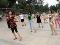 温州燕子广场舞 自由舞