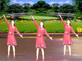 惠州阿娜广场舞 唱给姑娘卓玛 正反面加分解