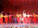 舞在深圳湾广场舞 表演版 水乡温柔