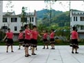春花广场舞 藏族四步舞曲 含背面演示