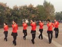 北京灵子广场舞 民工的向往 附分解教学